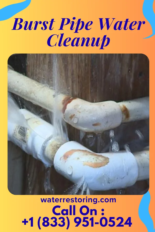 Burst Pipe Water Cleanup in Wayne, MI