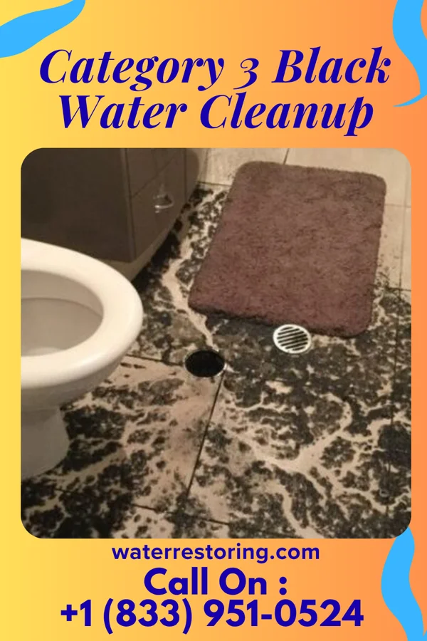 Category 3 Black Water Cleanup in Wayne, MI