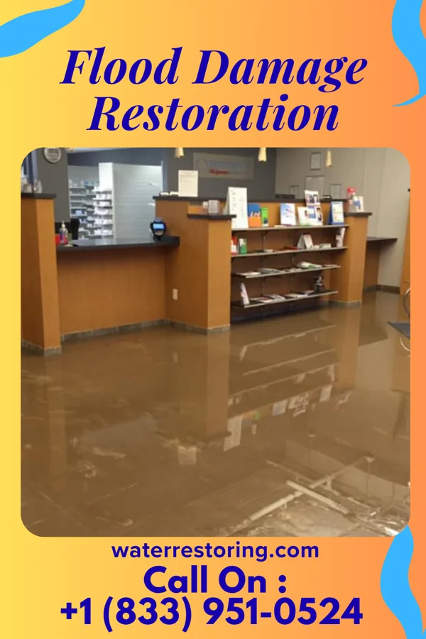 Flood Damage Restoration in Wayne, MI