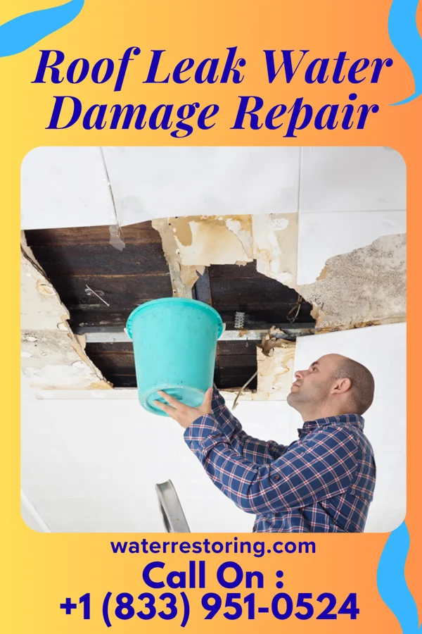 Roof Leak Water Damage Repair in Wayne, MI