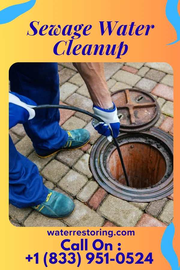 Sewage Water Cleanup in Wayne, MI